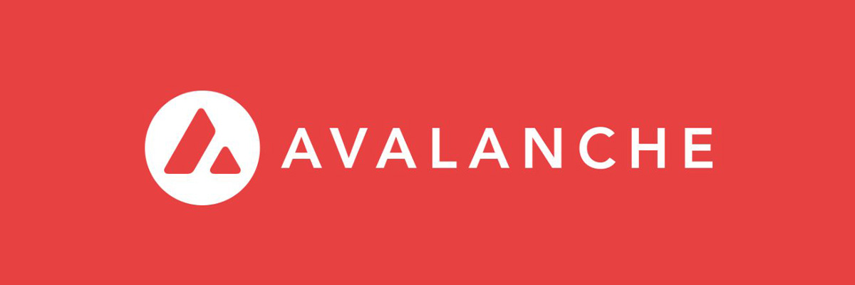 Avalanche Banner